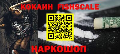 jwh Бийск