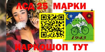 jwh Бийск