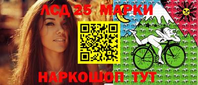 jwh Бийск