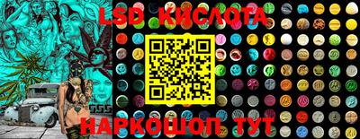 jwh Бийск