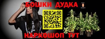 jwh Бийск