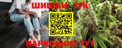 jwh Бийск