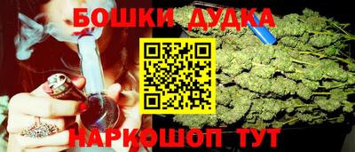 jwh Бийск