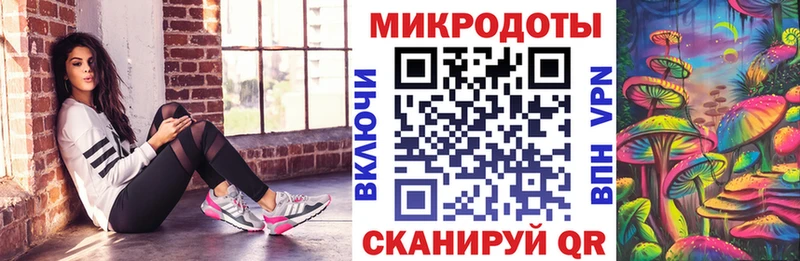 Псилоцибиновые грибы Psilocybe Кузнецк