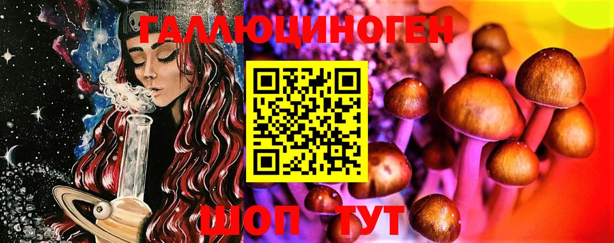 Псилоцибиновые грибы MAGIC MUSHROOMS  Вход с VPN  Кузнецк 