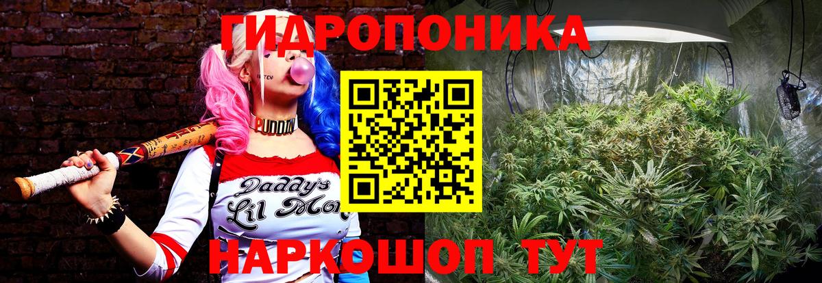 Кузнецк  Марихуана планчик  Бошки Шишки тримм  МАРИХУАНА VHQ  Вход с VPN 